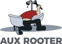 Aux Rooter image 1